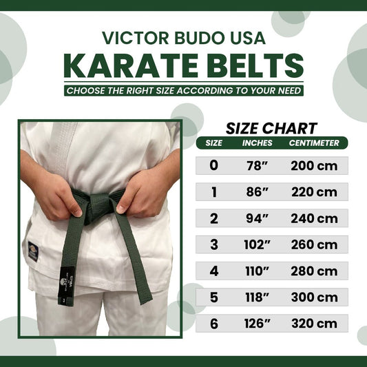 TAEKWONDO JUDO COLORFUL MARTIAL ARTS RANK KARATE BELT | VICTOR BUDO USA